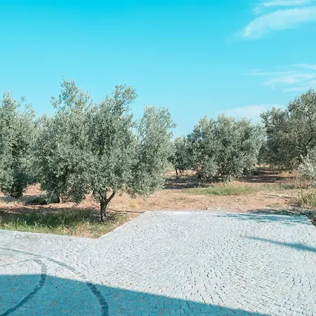 Urlivia Zeytin Bahcesi B&B Urla