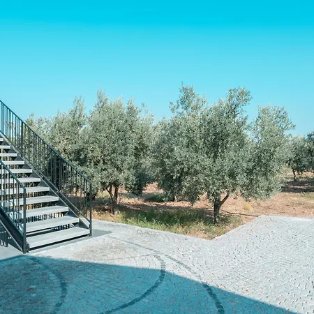 Urlivia Zeytin Bahcesi * Urla